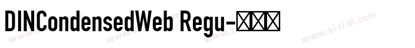 DINCondensedWeb Regu字体转换